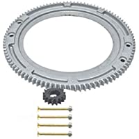 Los mejores  - Corona dentada apta para Briggs &amp- Stratton Motor de arranque eléctrico 392134 399676